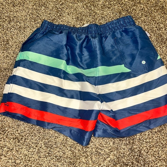 Chubbies Men Swim Trunks XL  blue white red green strip - Picture 5 of 6